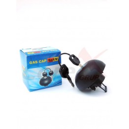 Capac rezervor Logan