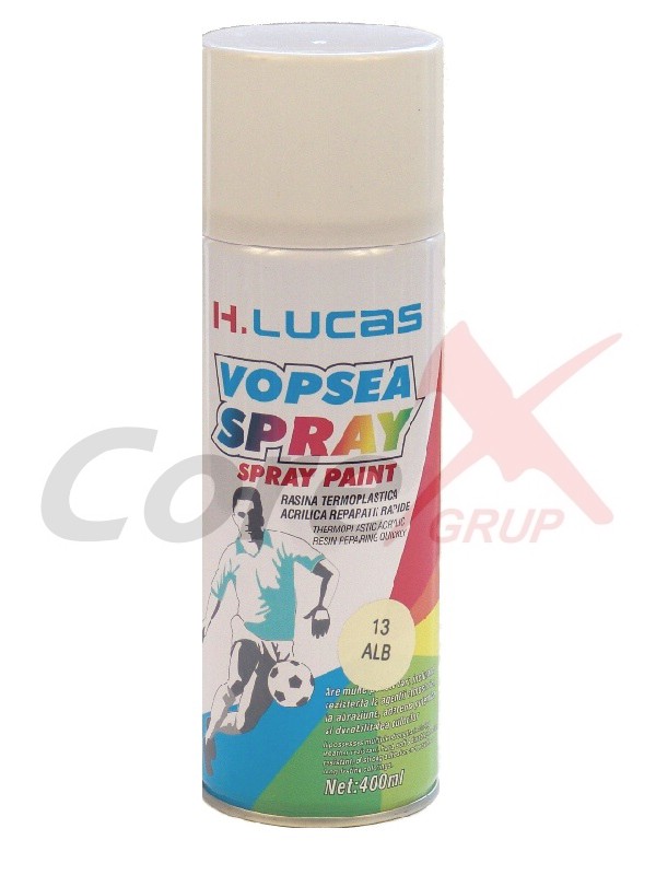spray vopsea auto negru mat Shoogle